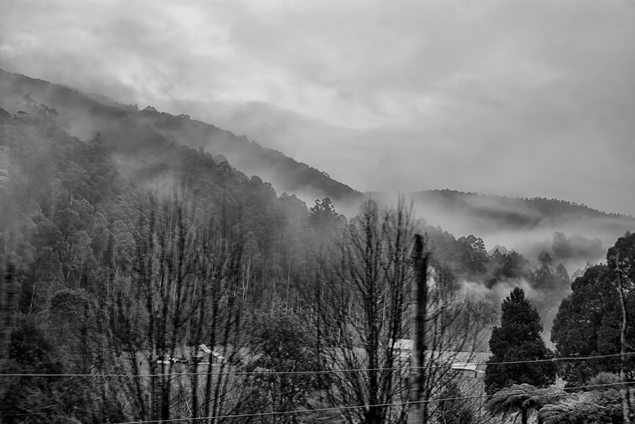 drama movement fog photos Nature trees mountains Landscape black White SKY clouds Fun