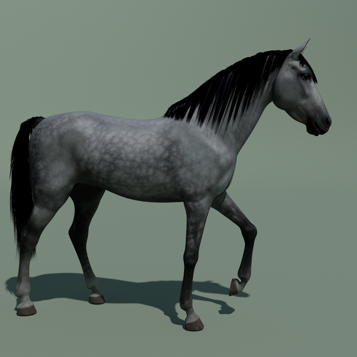 Horse 3D model on Behance
