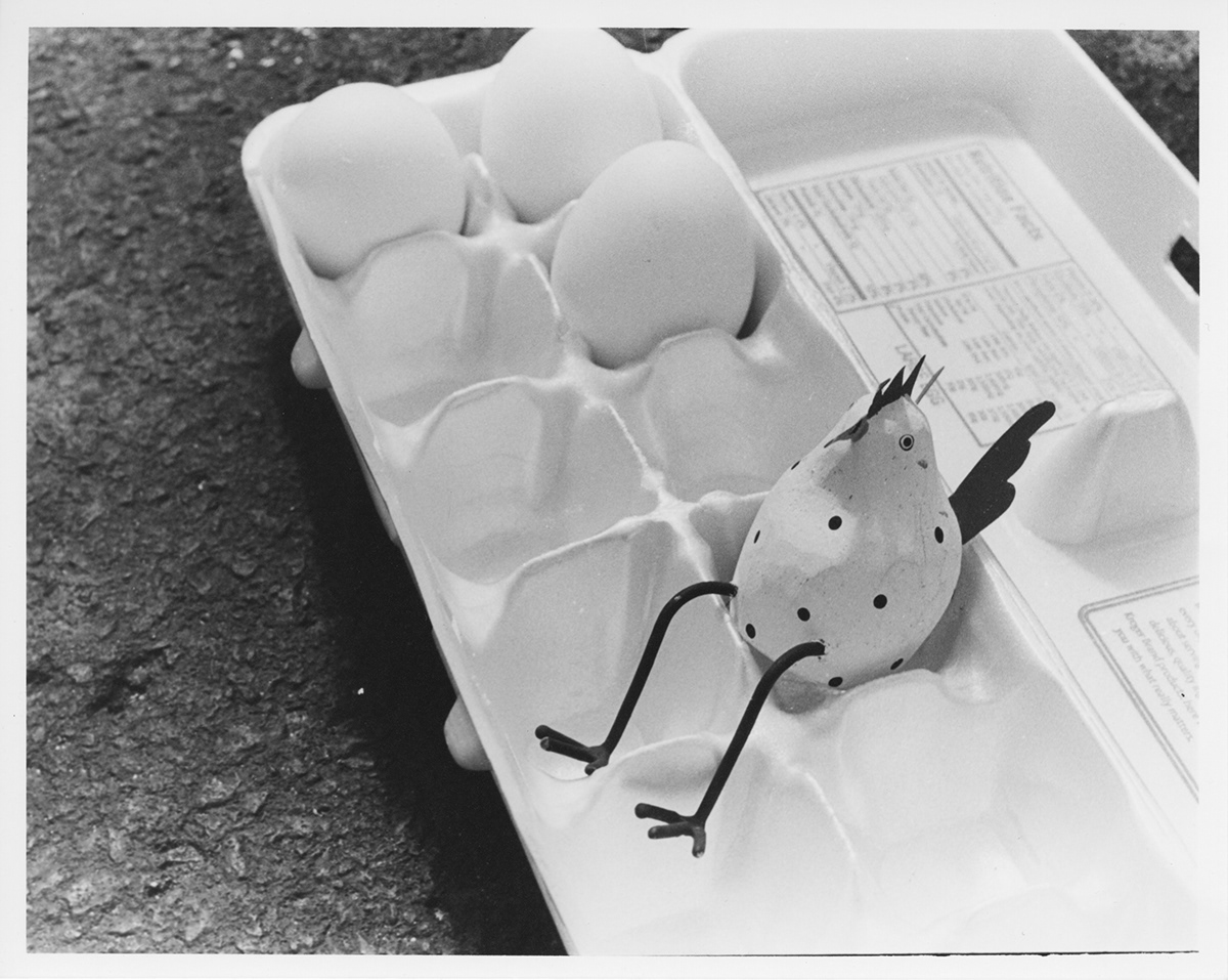  puns film photography black and white eggs chickens