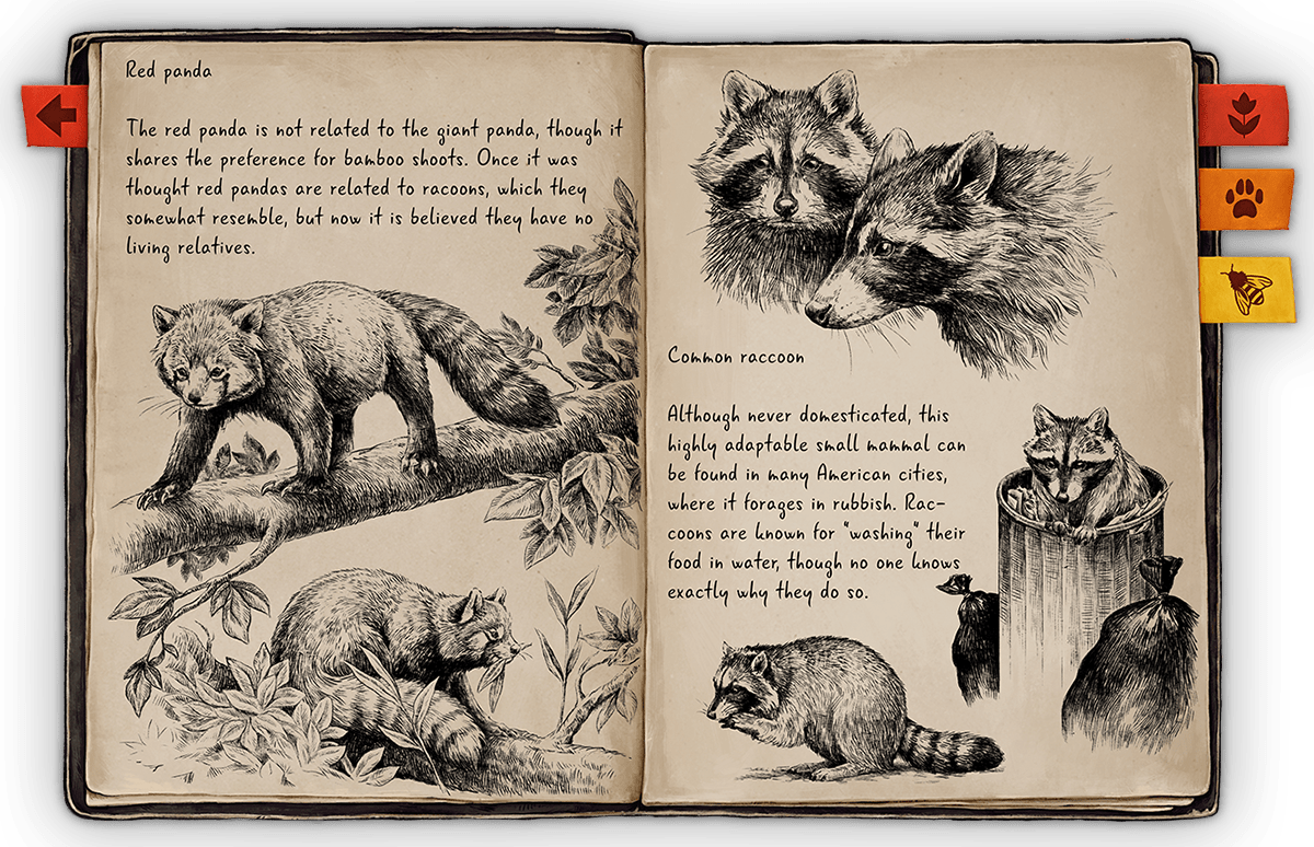 beesimulator Bestiary floral Flowers gameart Glossary ILLUSTRATION  Insects sketchbook sketches