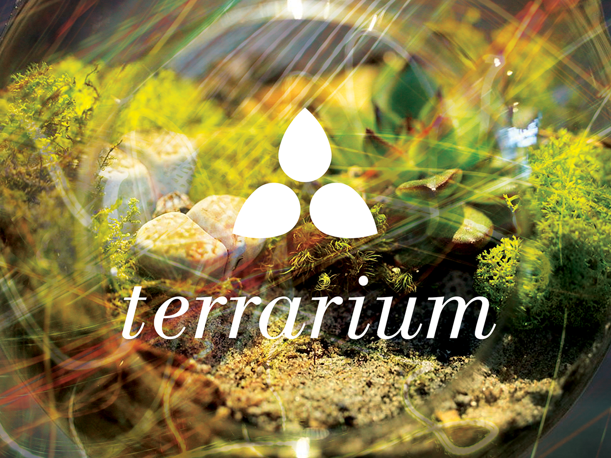 graphic design visual identity logo brochure visual identity terrarium glass type