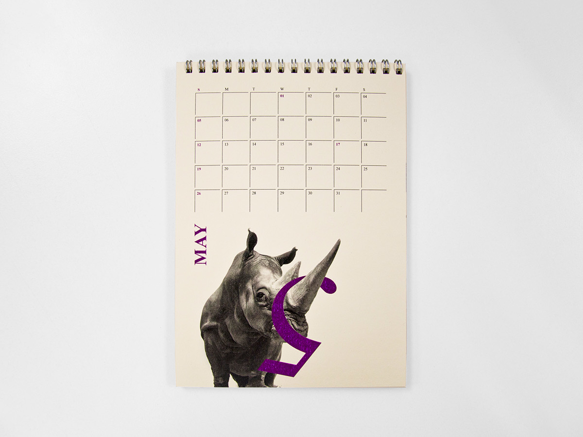 calendar year2013 animal The Playground typo funny Colourful  simple clean