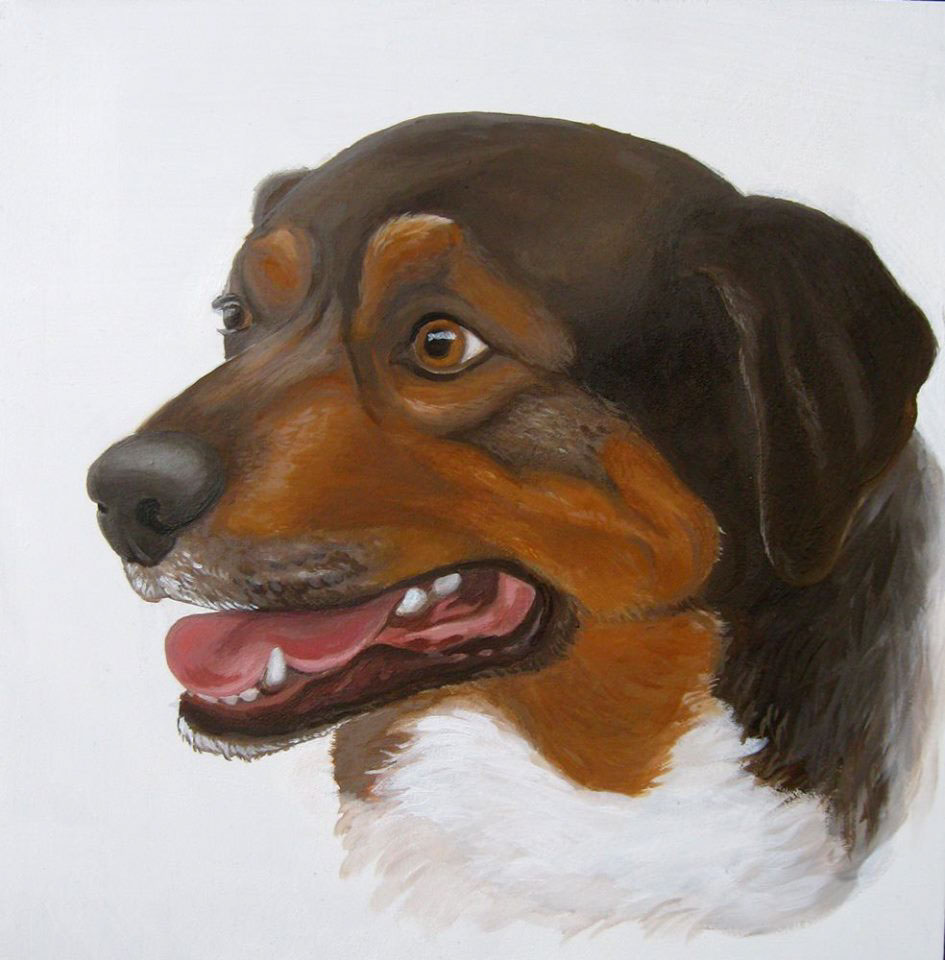 portraits painting   dogs cats pets