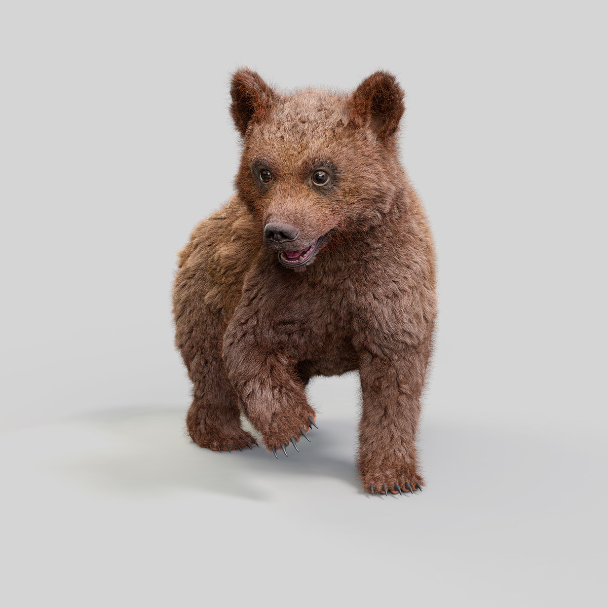 bear urso cub grizzly Zbrush modo 3D CGI Fur animal baby
