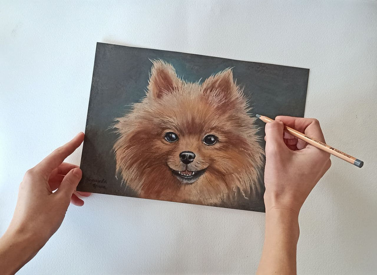 animal dog portrait softpastel