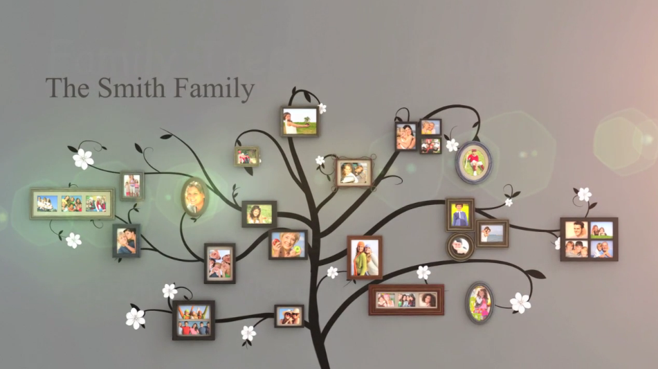 videohive  animation after effects Family Tree  family   photos video family ancestry