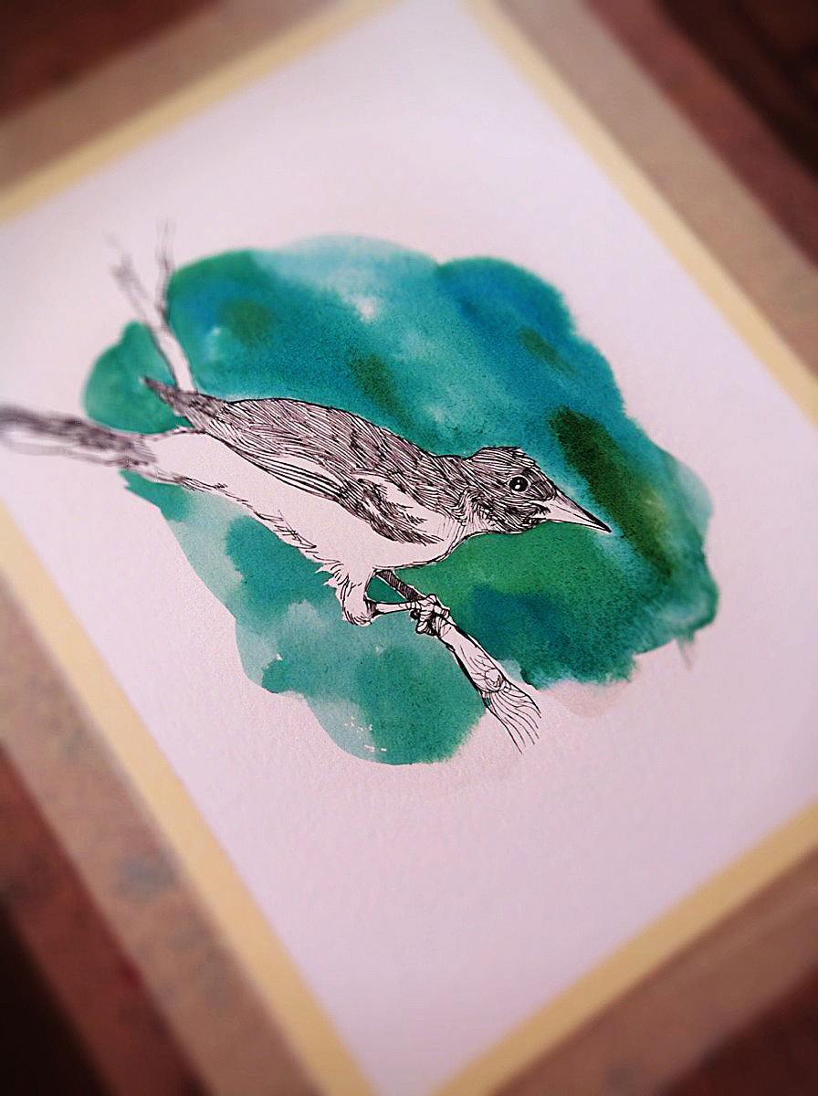watercolor ink bird paint
