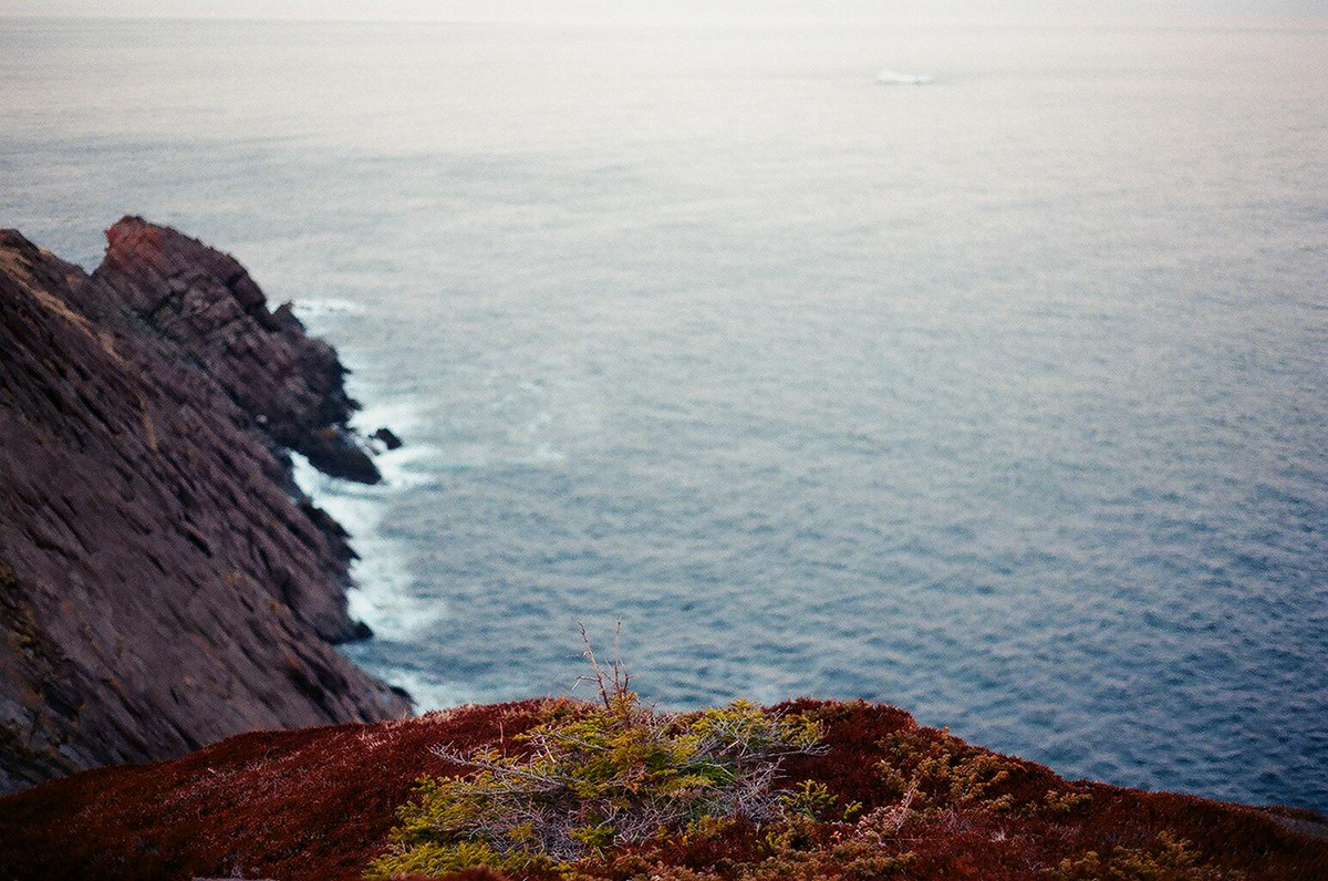 cliffs rocks Bays Ocean fjords