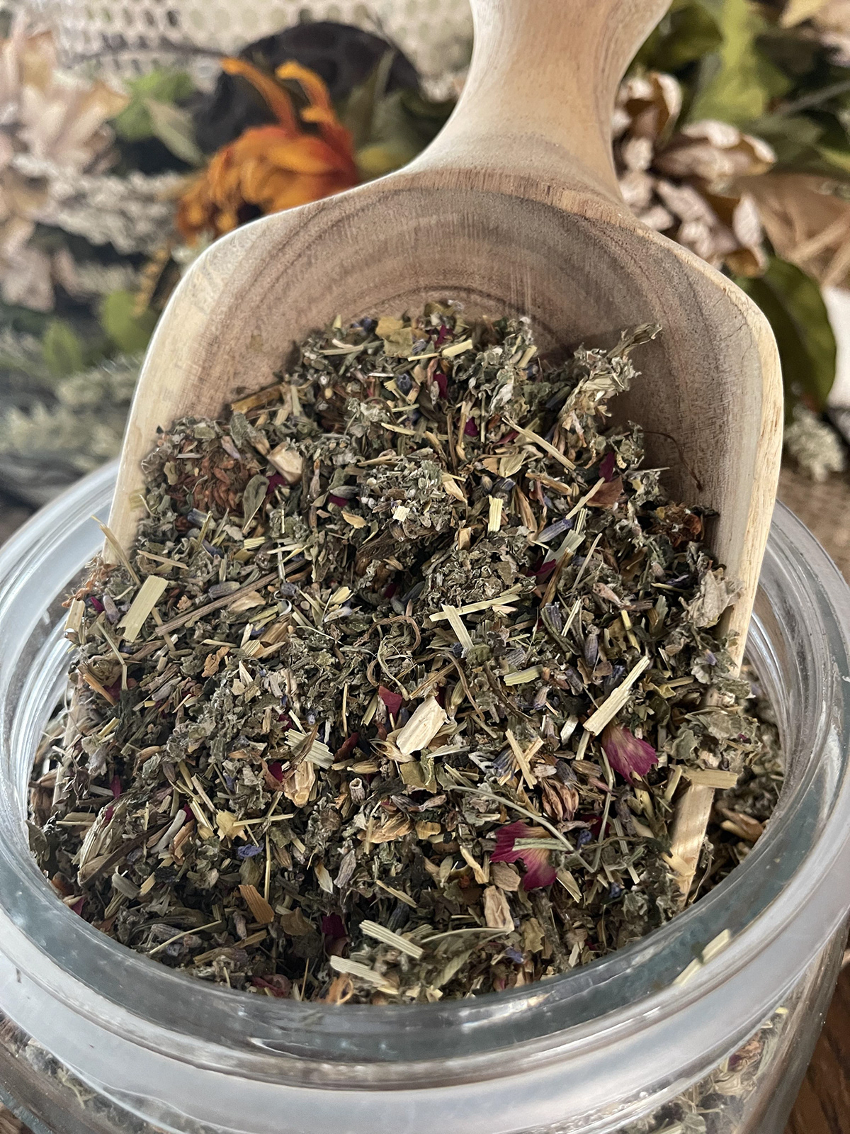 Plant Nature tea herbs herbal tea herbal medicine herbalist apothecary beauty
