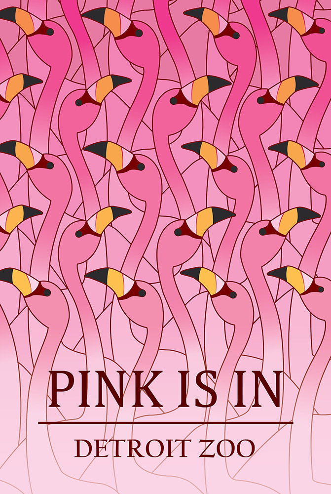 detroit Detroit Zoo flamingo flamingos birds animals pink