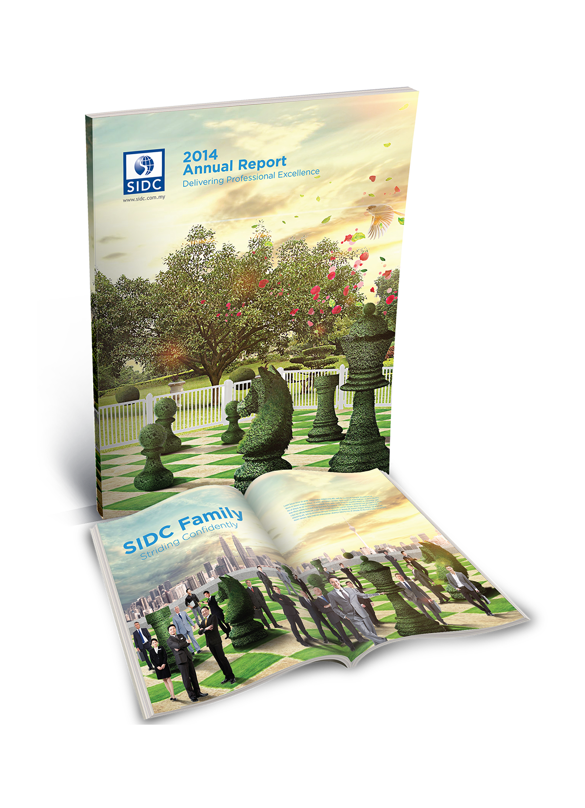 SIDC Annual Report Propose Design