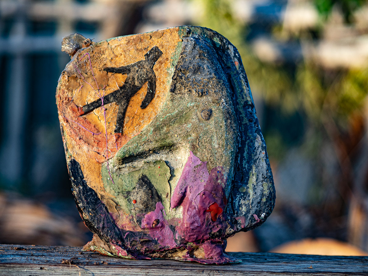 sculpture art environmental science mixed media artitialo instillation cassowary budhism