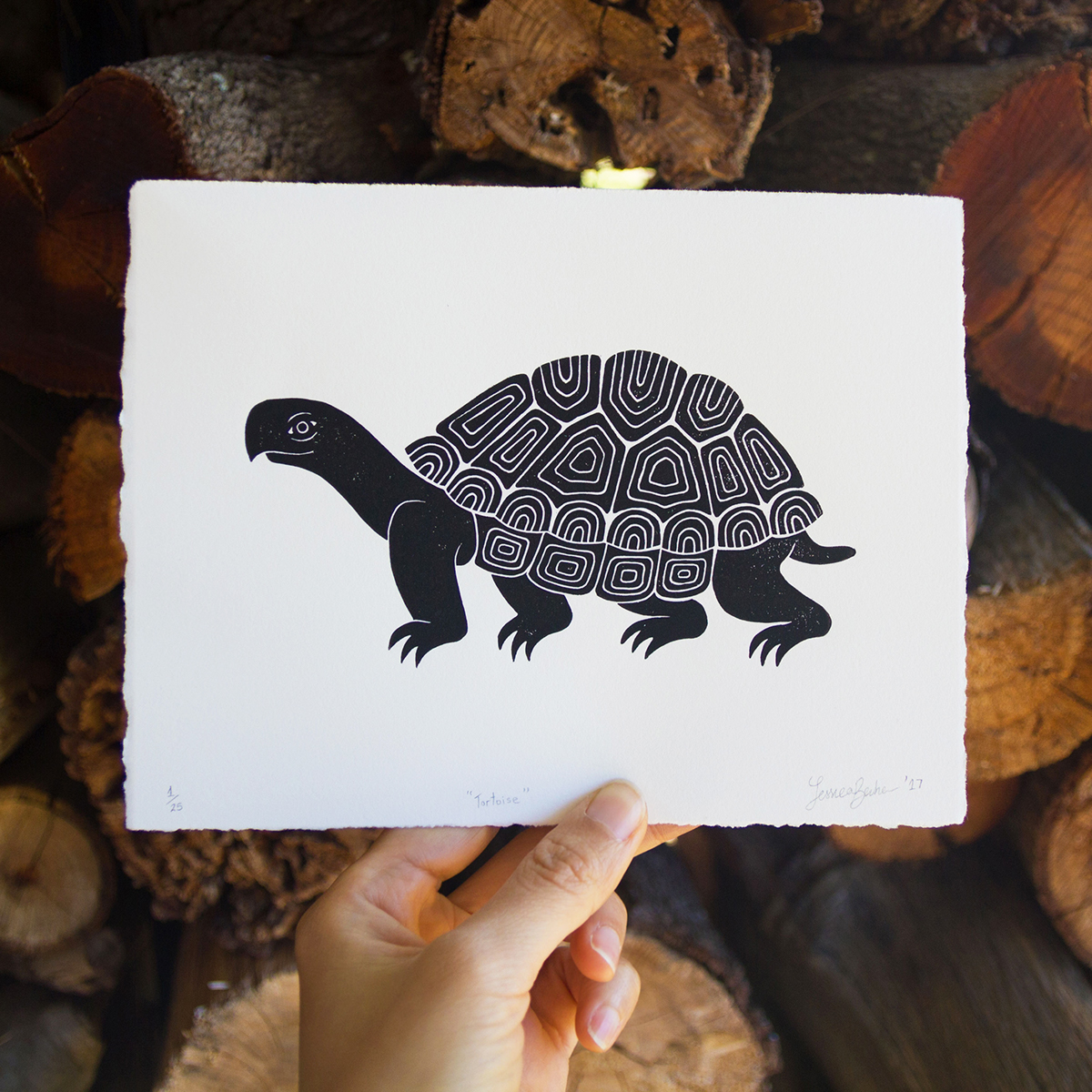 Rooster tortoise owl printmaking Linoprint linocut blockprint animal ILLUSTRATION  process