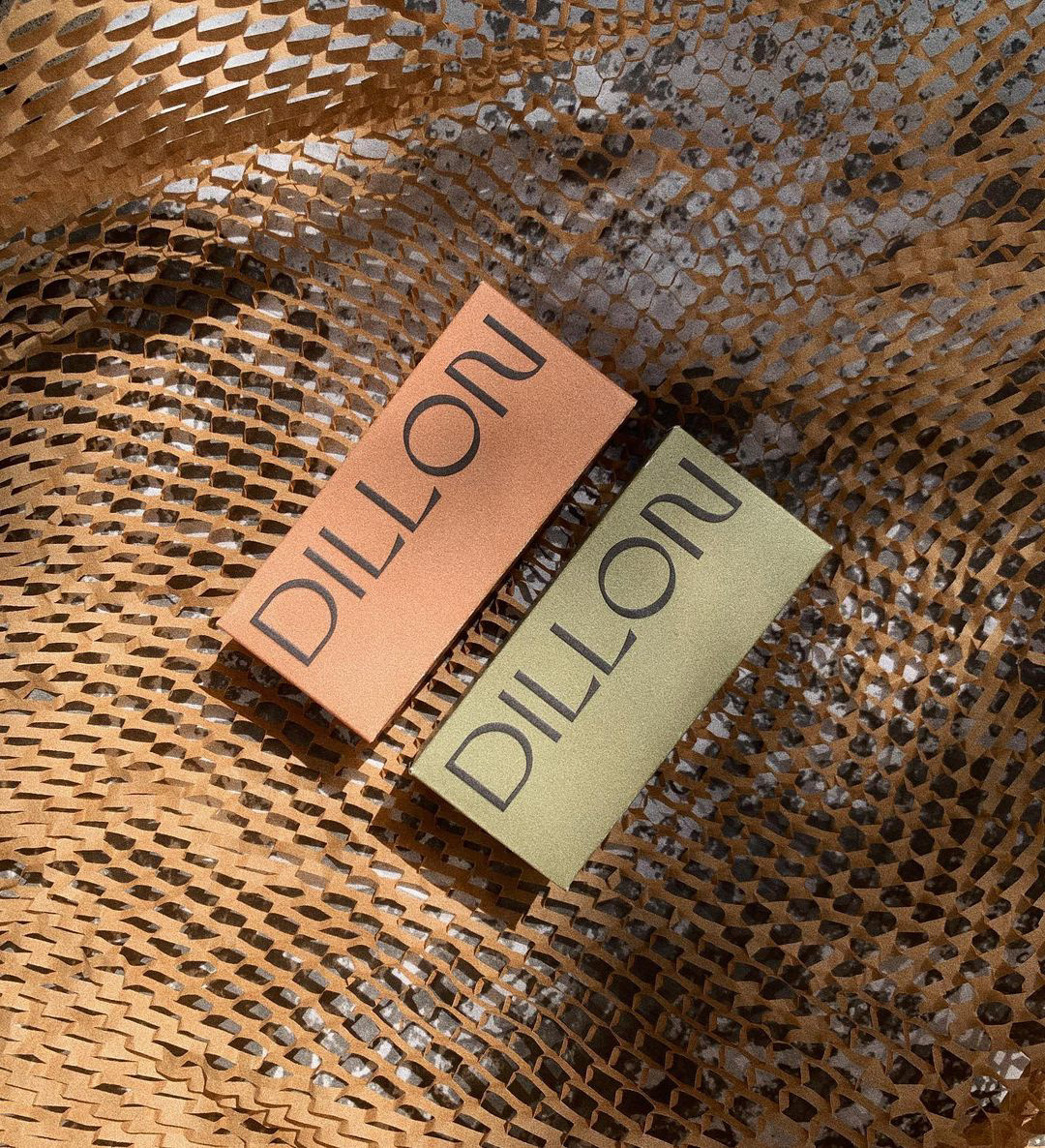 Two product boxes with Dillon typography, peach and green, sit against paper mesh