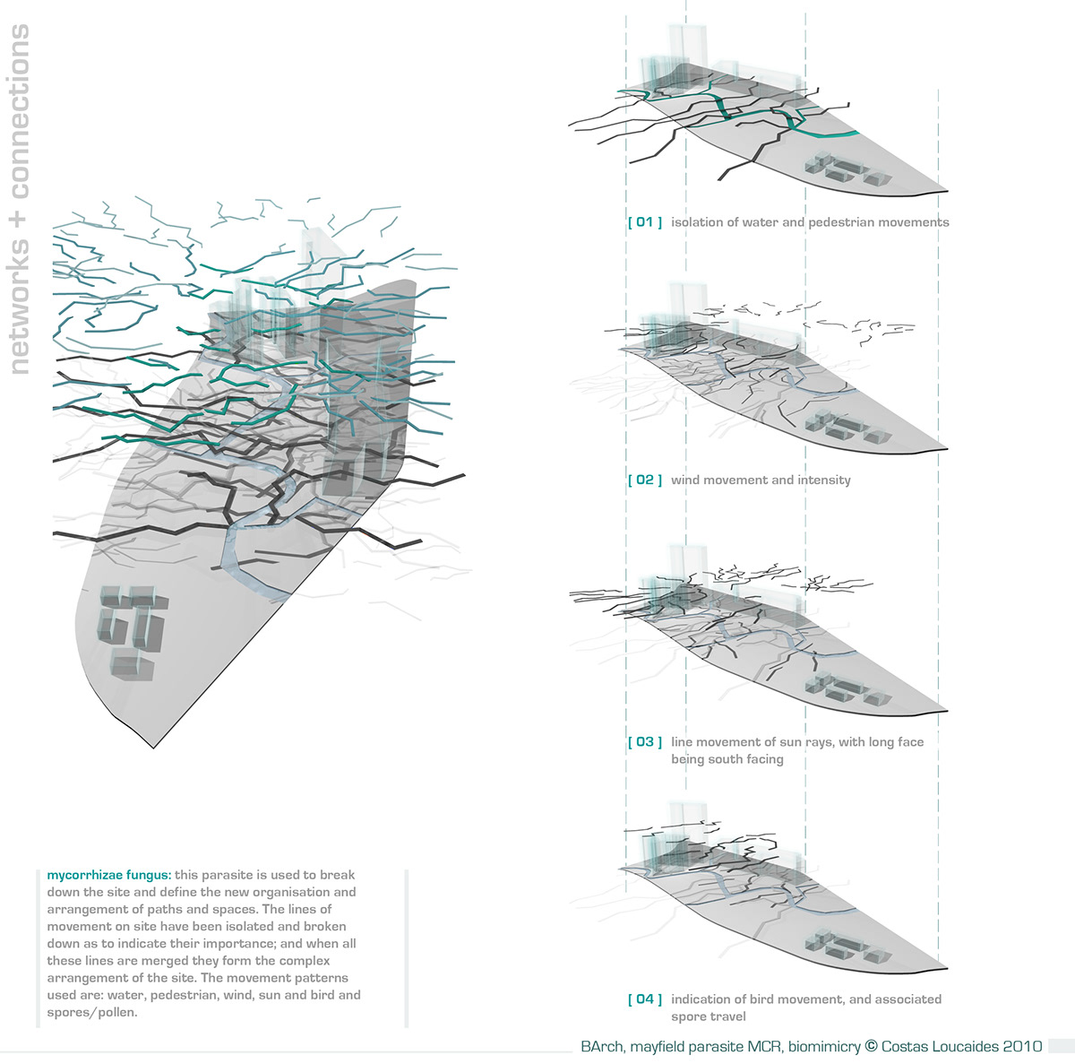 Biomimetics Masterplan Urban Regeneration thesis