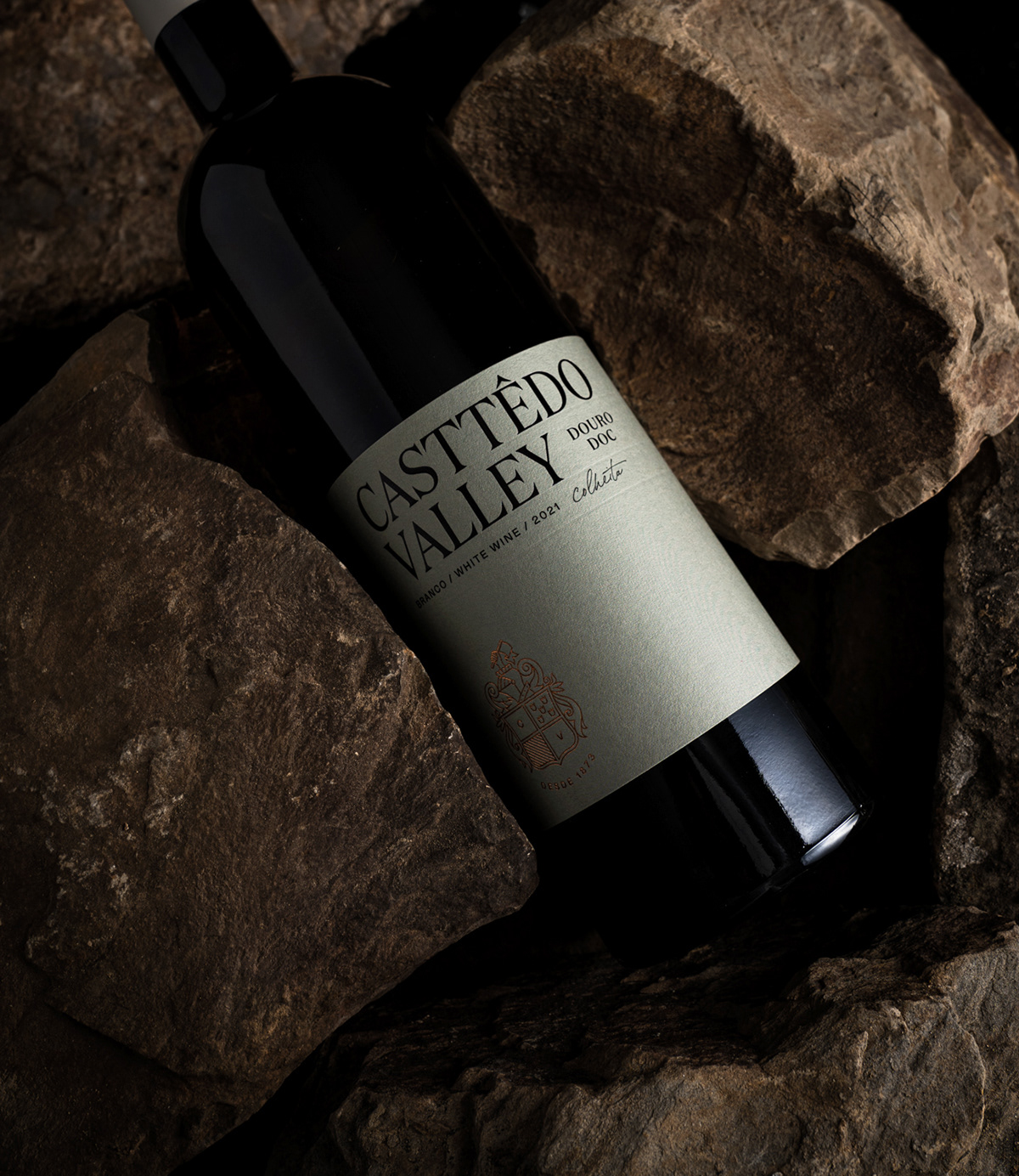 brand identity design Label Packaging Photography  typography   vinho wine wine label