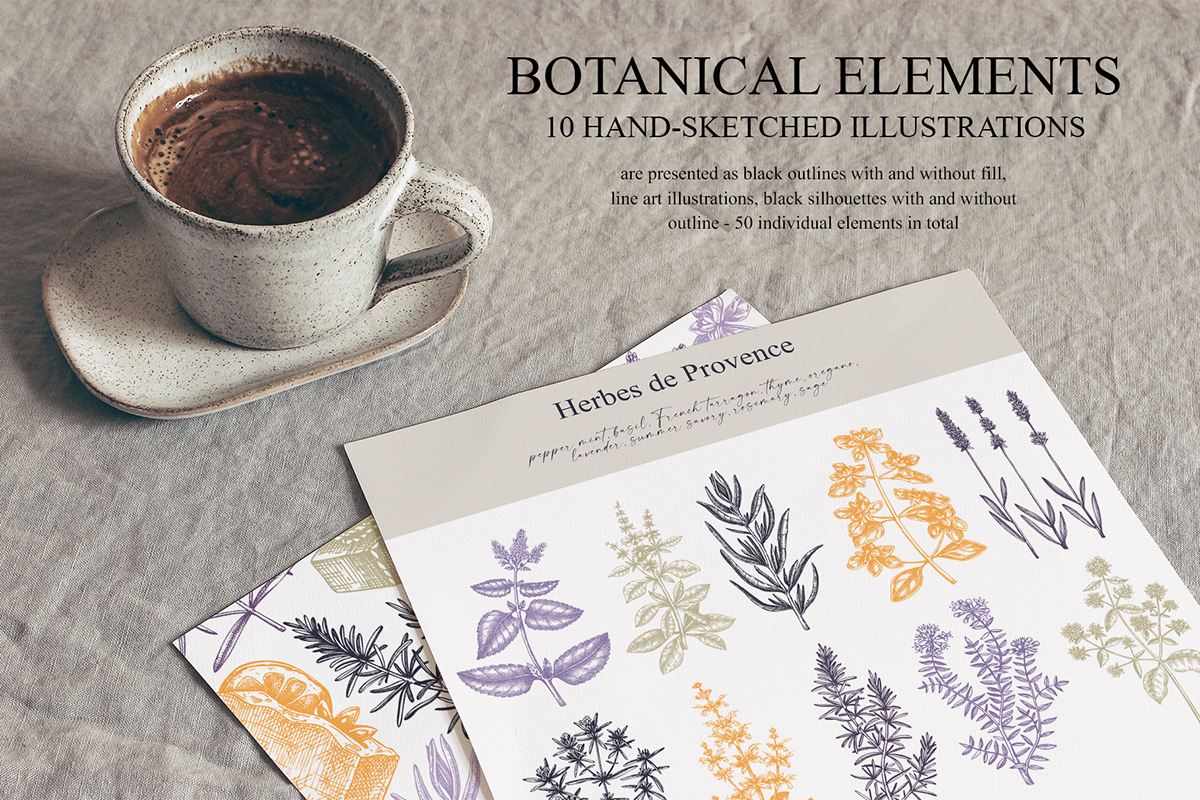 Aromatic herbs beauty botanical illustration collage design elements Fashion  hand drawn perfumery Provence vector art