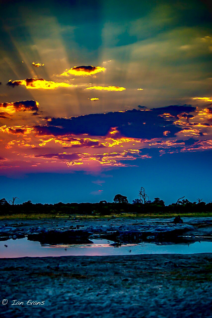 Okavangodelta Okavango Delta Botswana