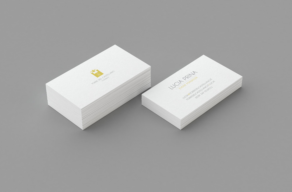 logo brochure business card