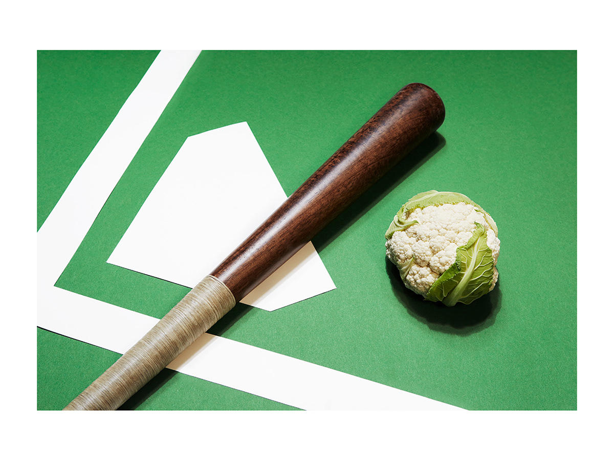 Adobe Portfolio sports healthy vegetables Fruit hockey baseball tennis ping-pong snooker billiards colourfull