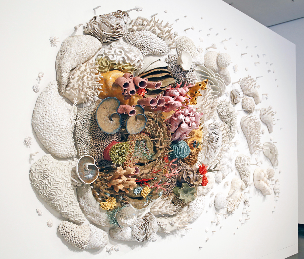 Courtney Mattison Tang Museum skidmore college Our Changing Seas ceramic sculpture sculpture ceramics  ocean conservation coral reef ocean art SciArt ArtScience  installation cyclone climate change