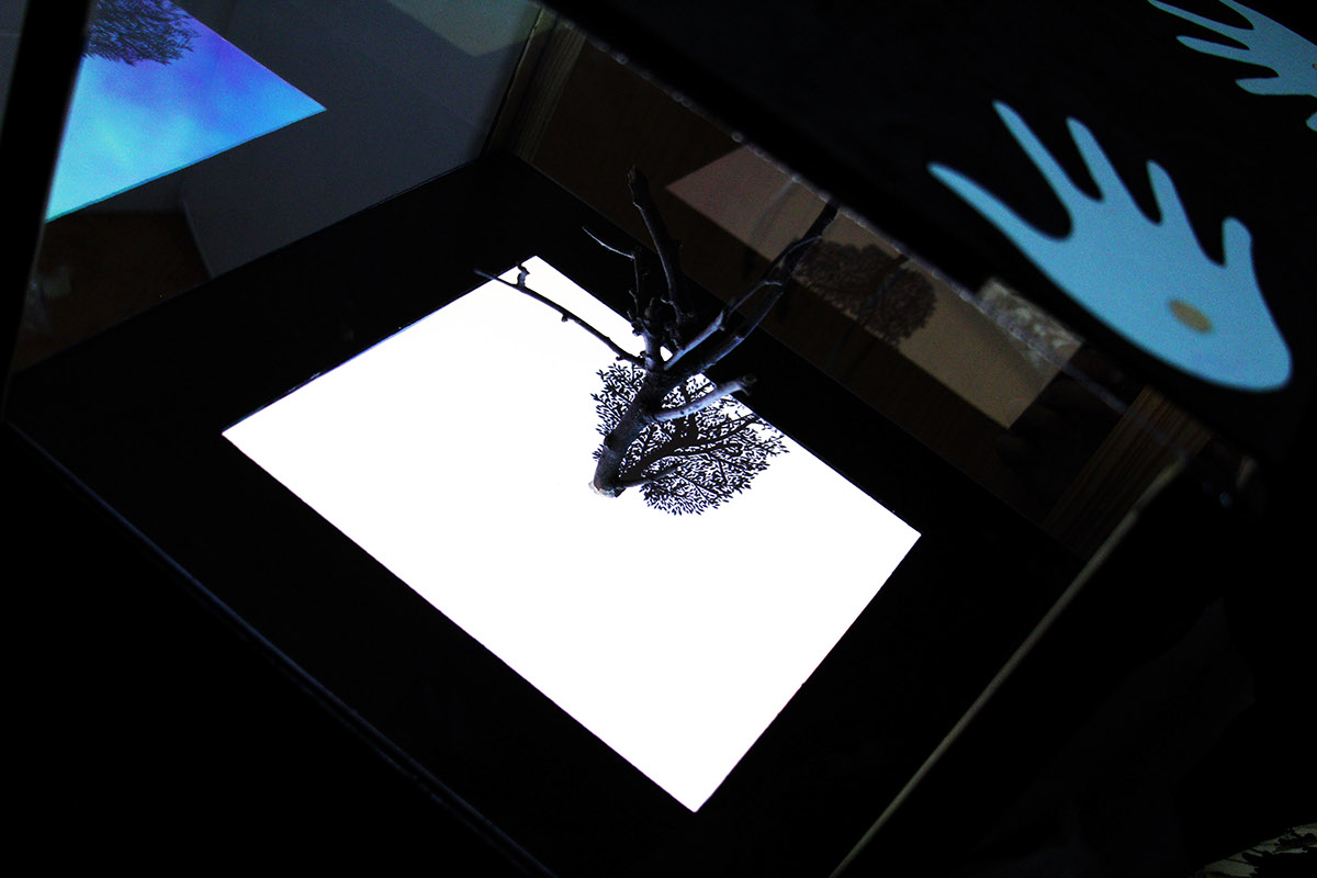 Experience installation art visual emboded tangile interaction interactive video Sensors arduinos motion touch