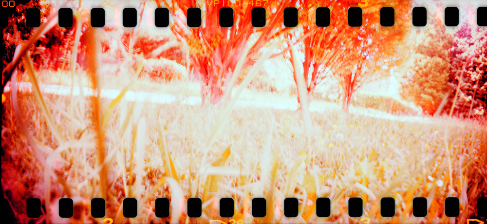 Film Set anlaogue film negative film pic compo
