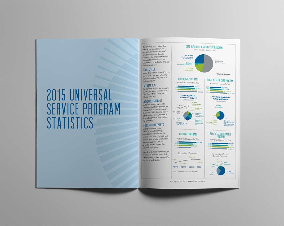 annual report publication Layout Design Data infographics
