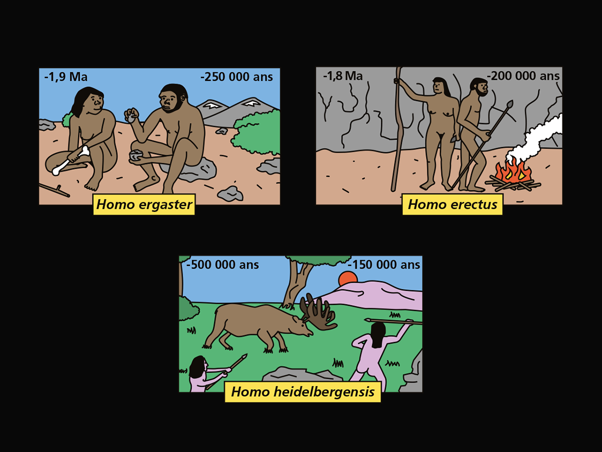 prehistoric ILLUSTRATION  timeline Data caveman evolution neandertal Prehistory