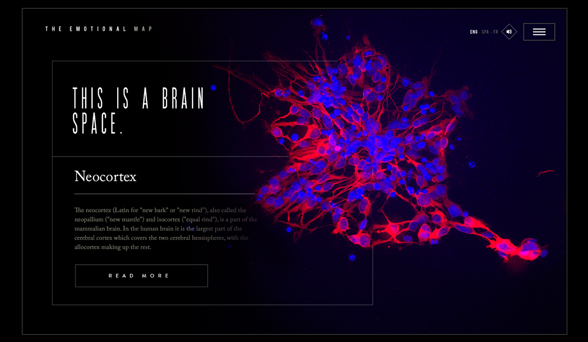 microsite Experience brain art neuronal impulse website experience Website Web web interaction app apple watch UI ux