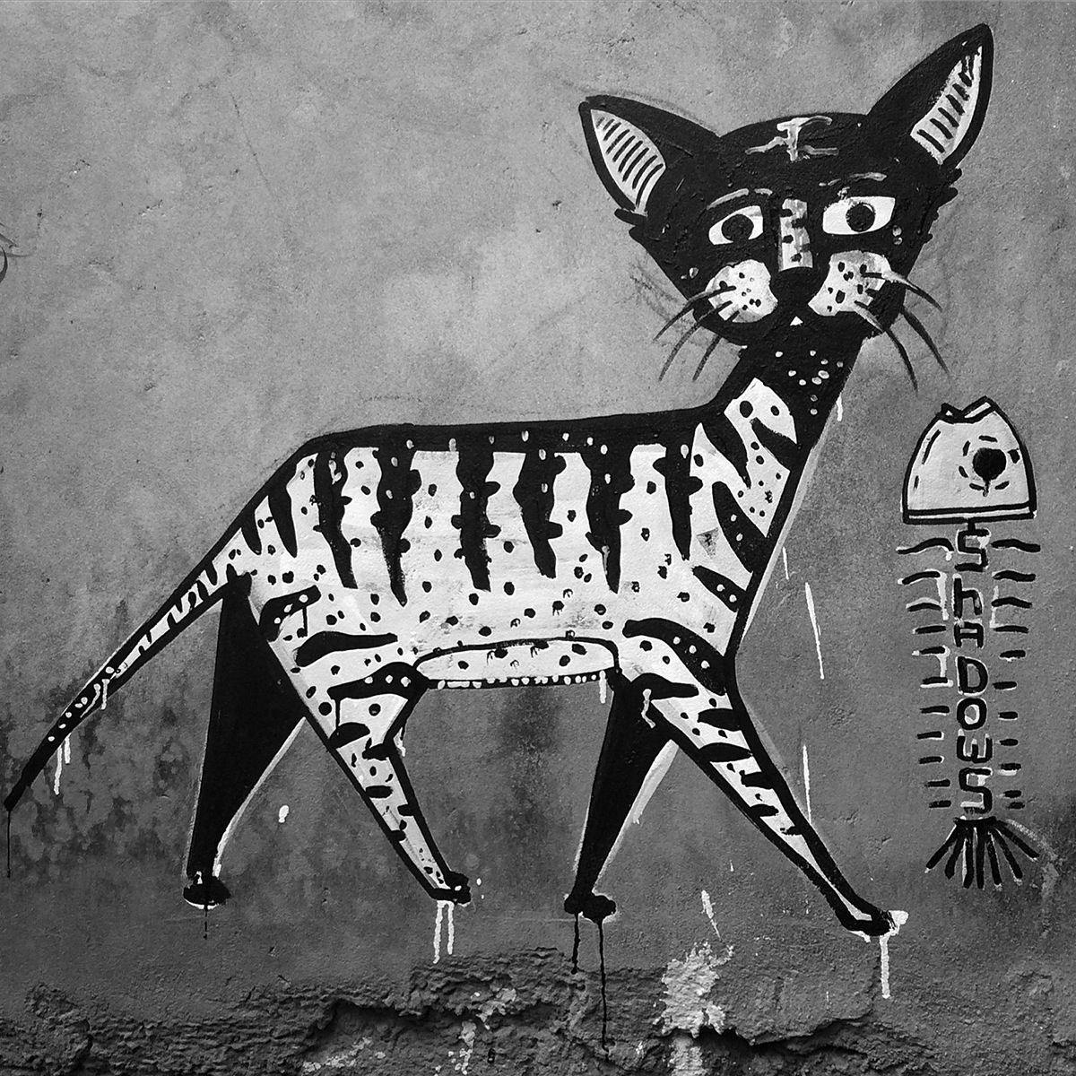 streetart paint animal vietnam