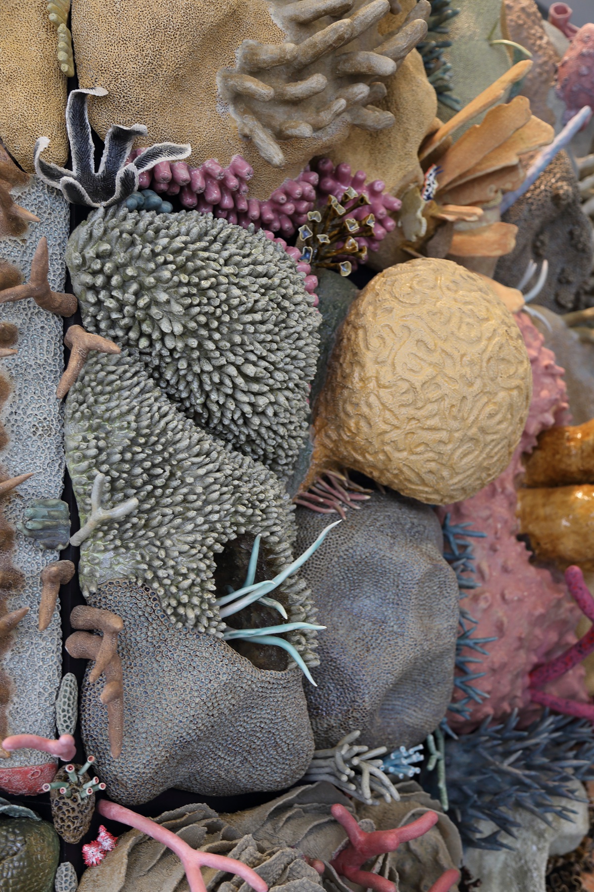 Courtney Mattison coral reef ocean art ceramic sculpture NSU Oceanographic Center Nova Southeastern University ceramics  sculpture clay glaze public art site-specific art contemporary art marine conservation