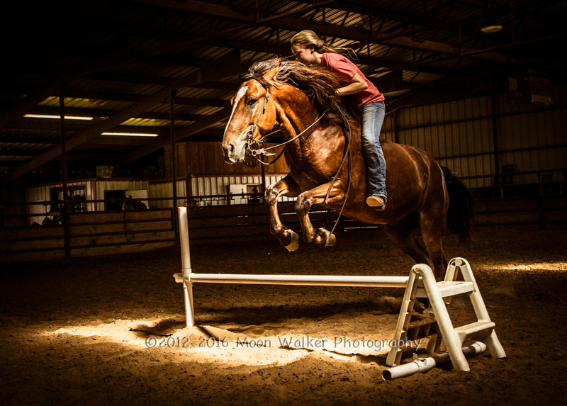 horse Mustang jumping bareback stunt riding  Horseback