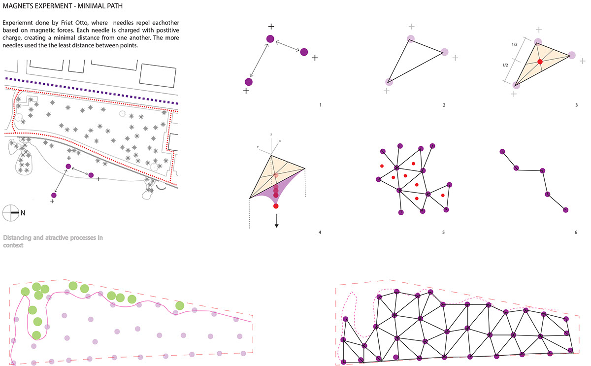 FIU Student work parametrics nets in nature