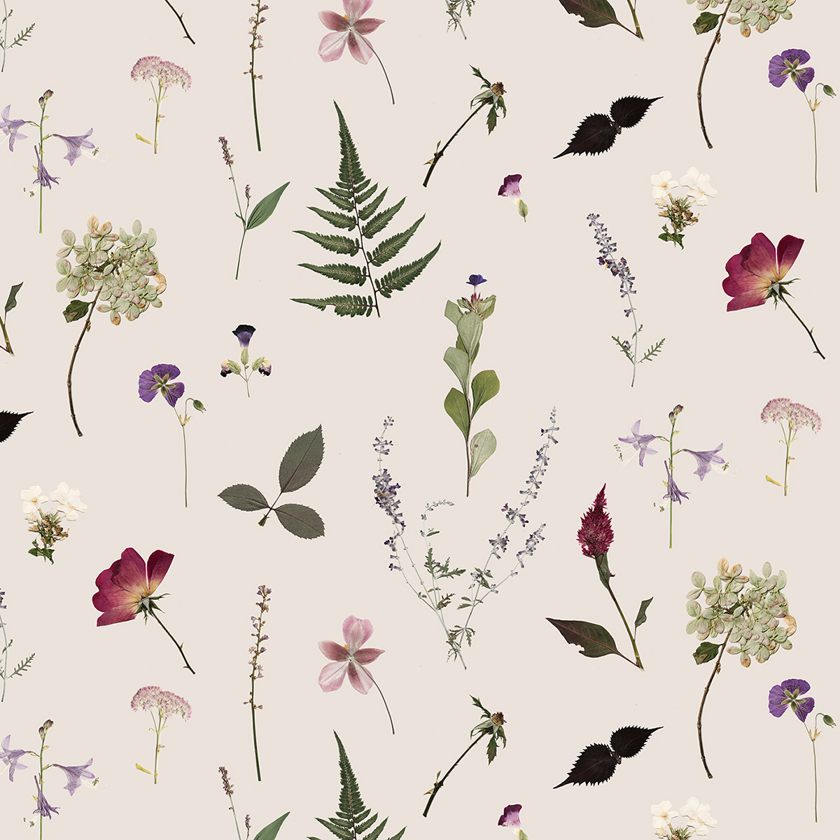 textile design  Photography  floral Botanicals butterflies frost ice