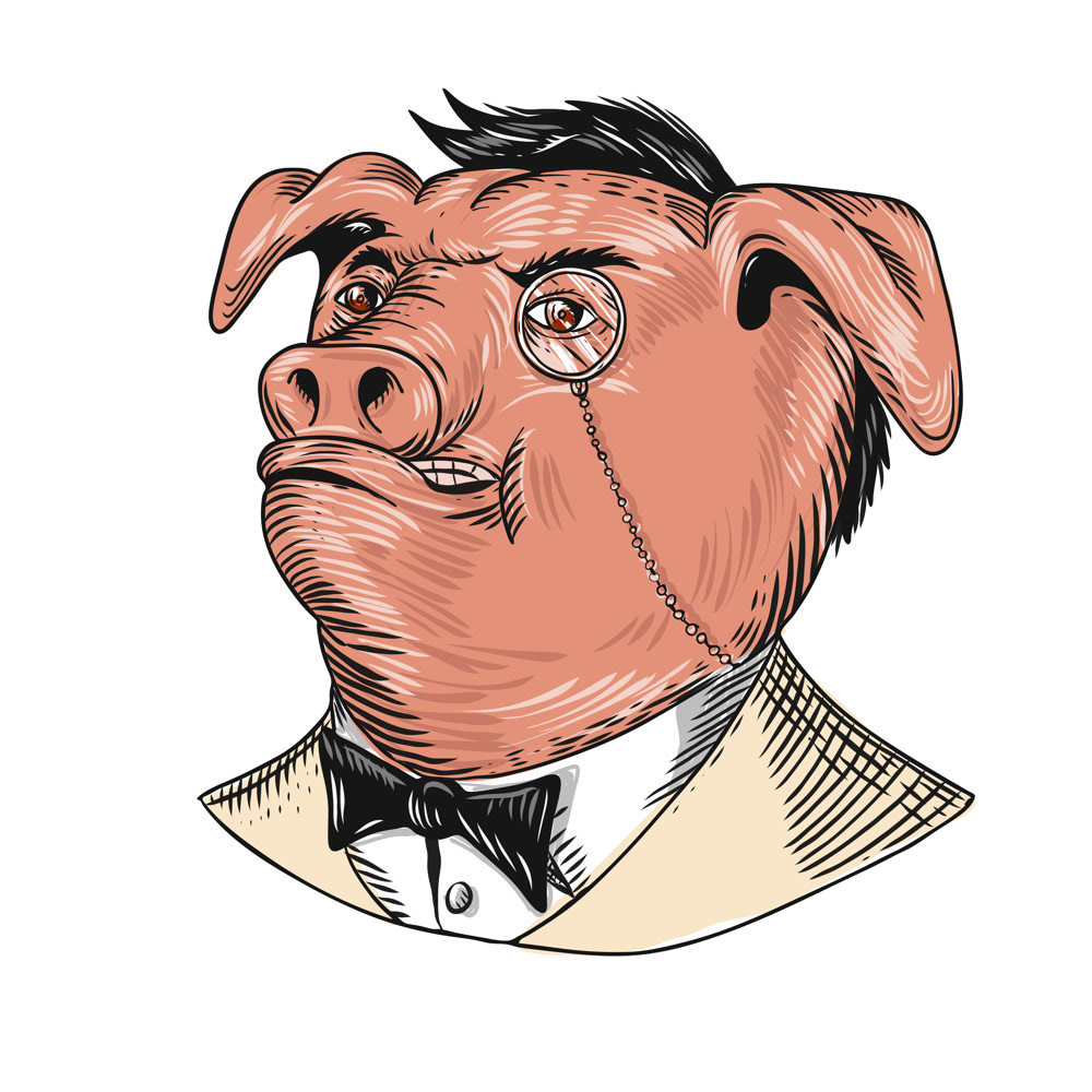 Drawing  doodle aristocrat pig Noble HOG Nobleman lord peer boar