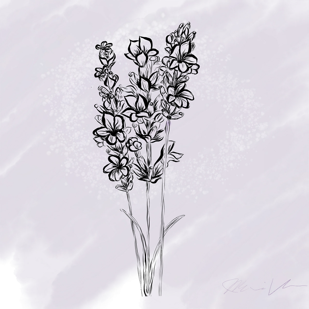 Decorative lavender