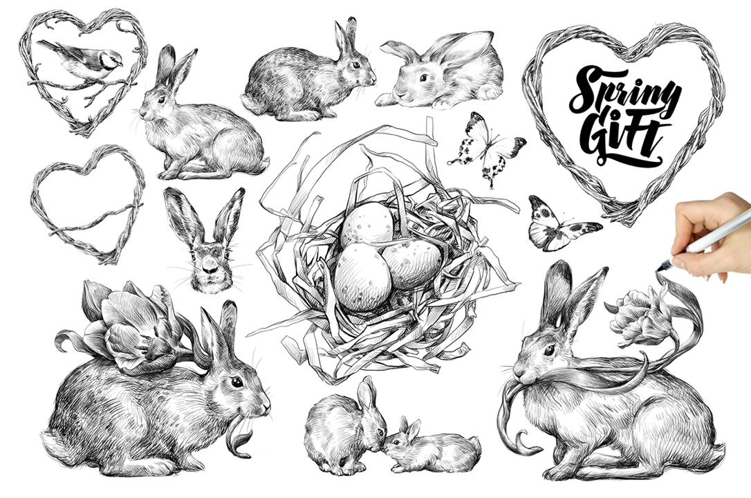Easter spring rabbit design ILLUSTRATION  illustrations bird wreath bunny floral