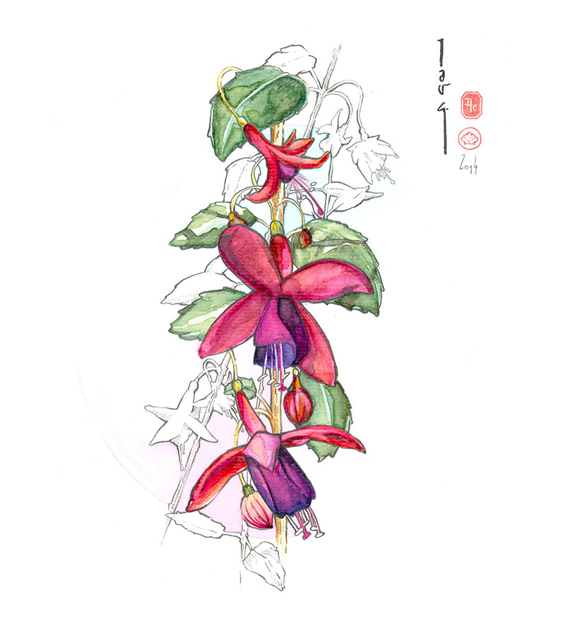 watercolor acuarela Plant flower bird ave Orquidea