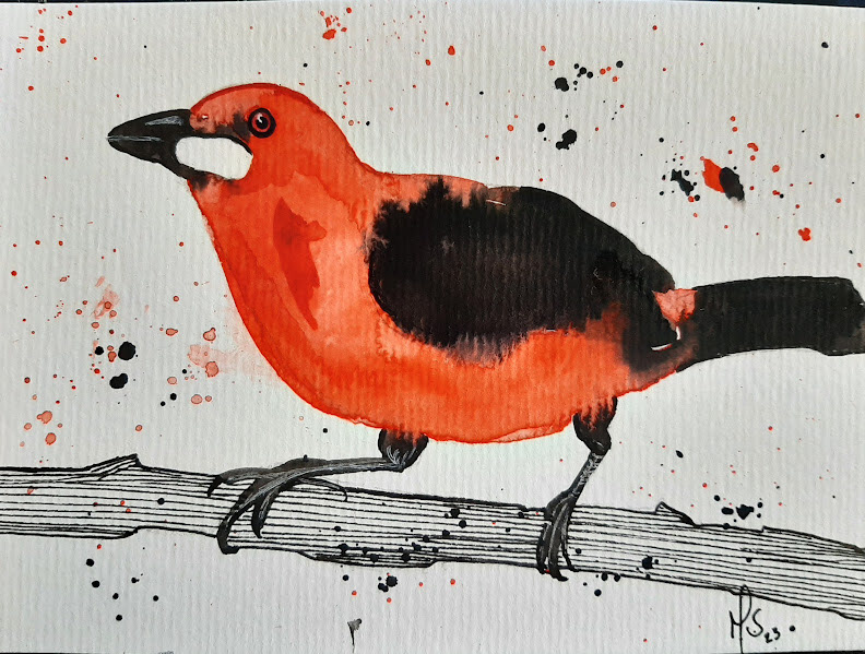 bird pássaros Ilustração desenho aquarela watercolor Nature ilutsration nanquim
