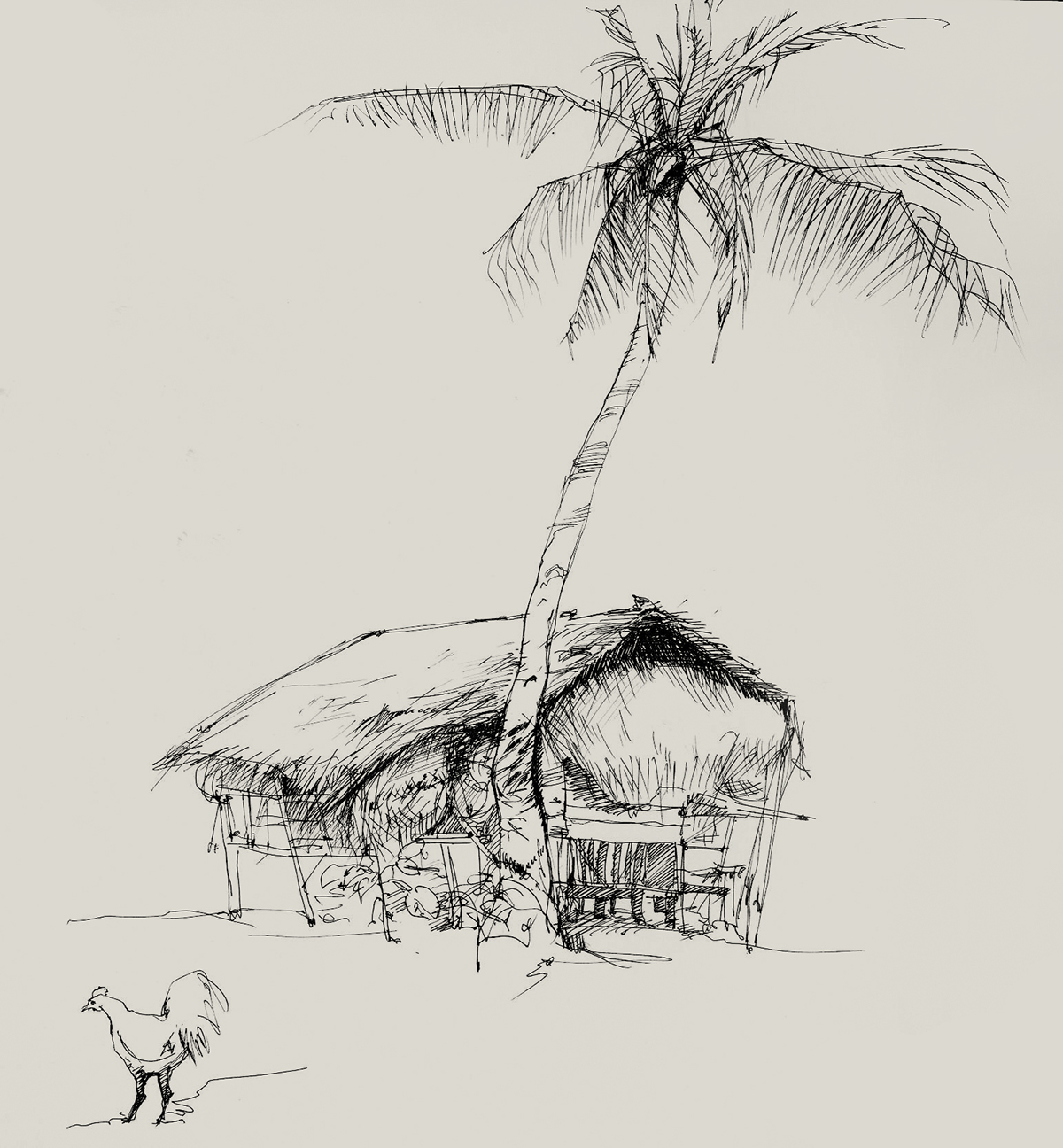 sketches Nature the philippines art artwork