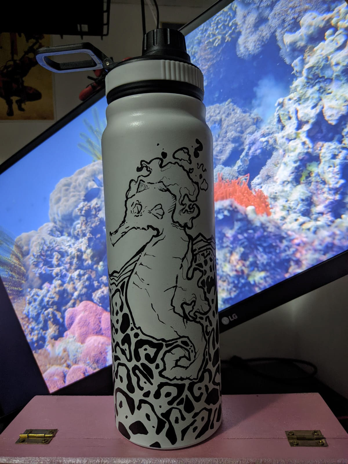 bottle Ilustração sea seahorse Ocean fish water beach