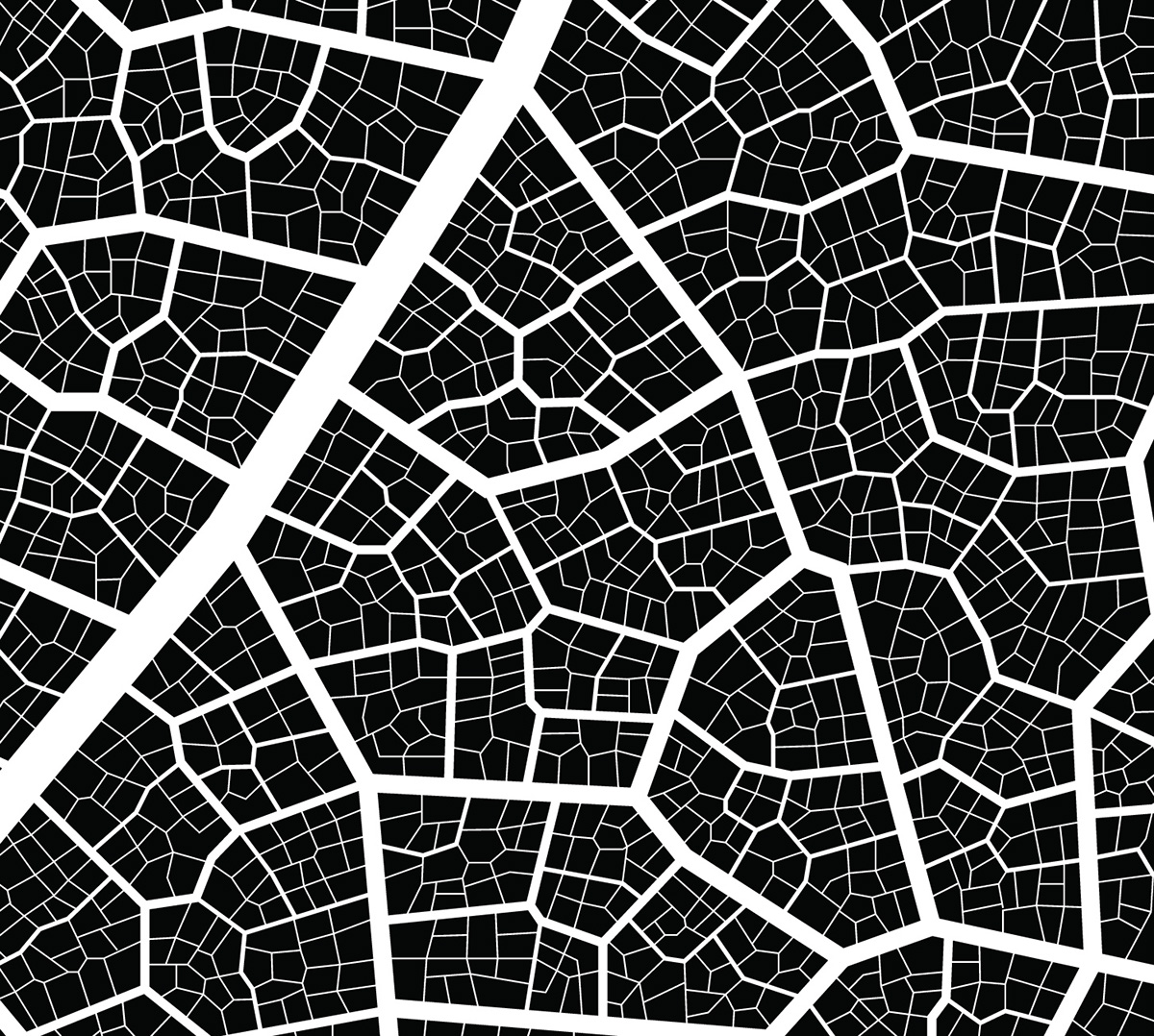 marton jancso Urban tissue experiment organic fractal system city structure leaf fig veins nutrient supply district Layout minimal pattern simple vector art 3D MAX Landscape Park graphic new fresh