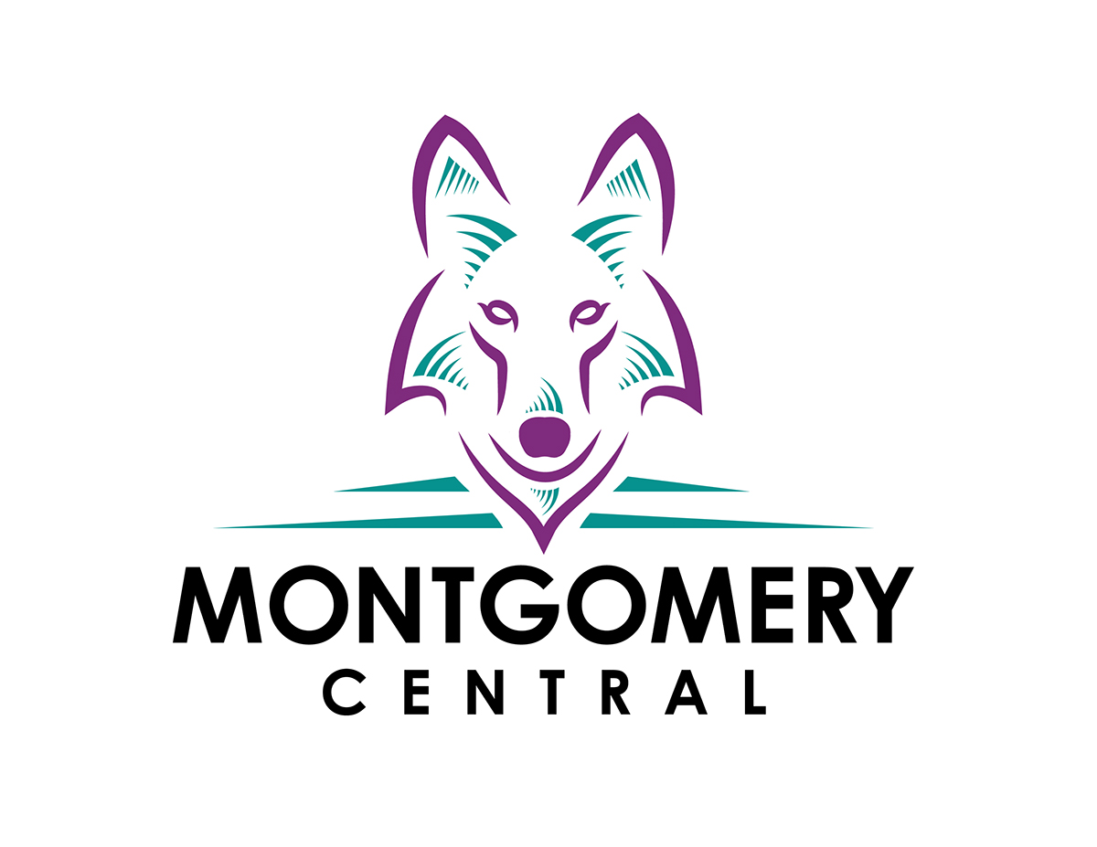 school wolf teal purple logo Mascot School Logo alternative school wolf logo