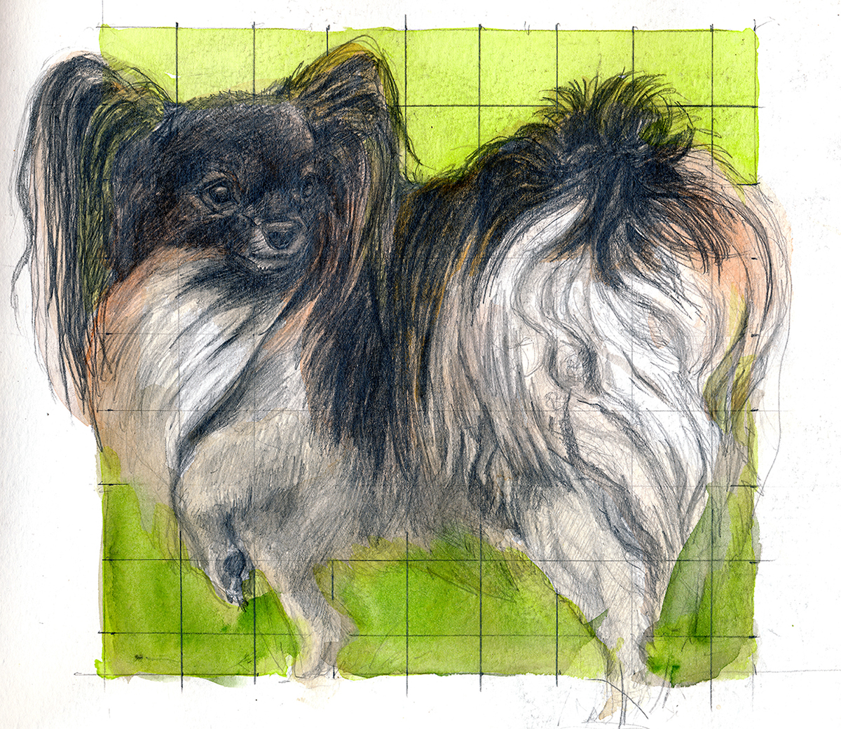 dog Labrador Retriever watercolor comission