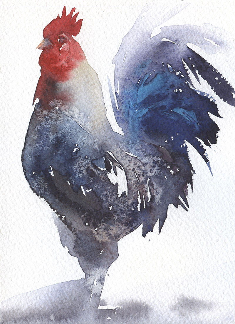 watercolor paper Rooster fine art symbol of 2017