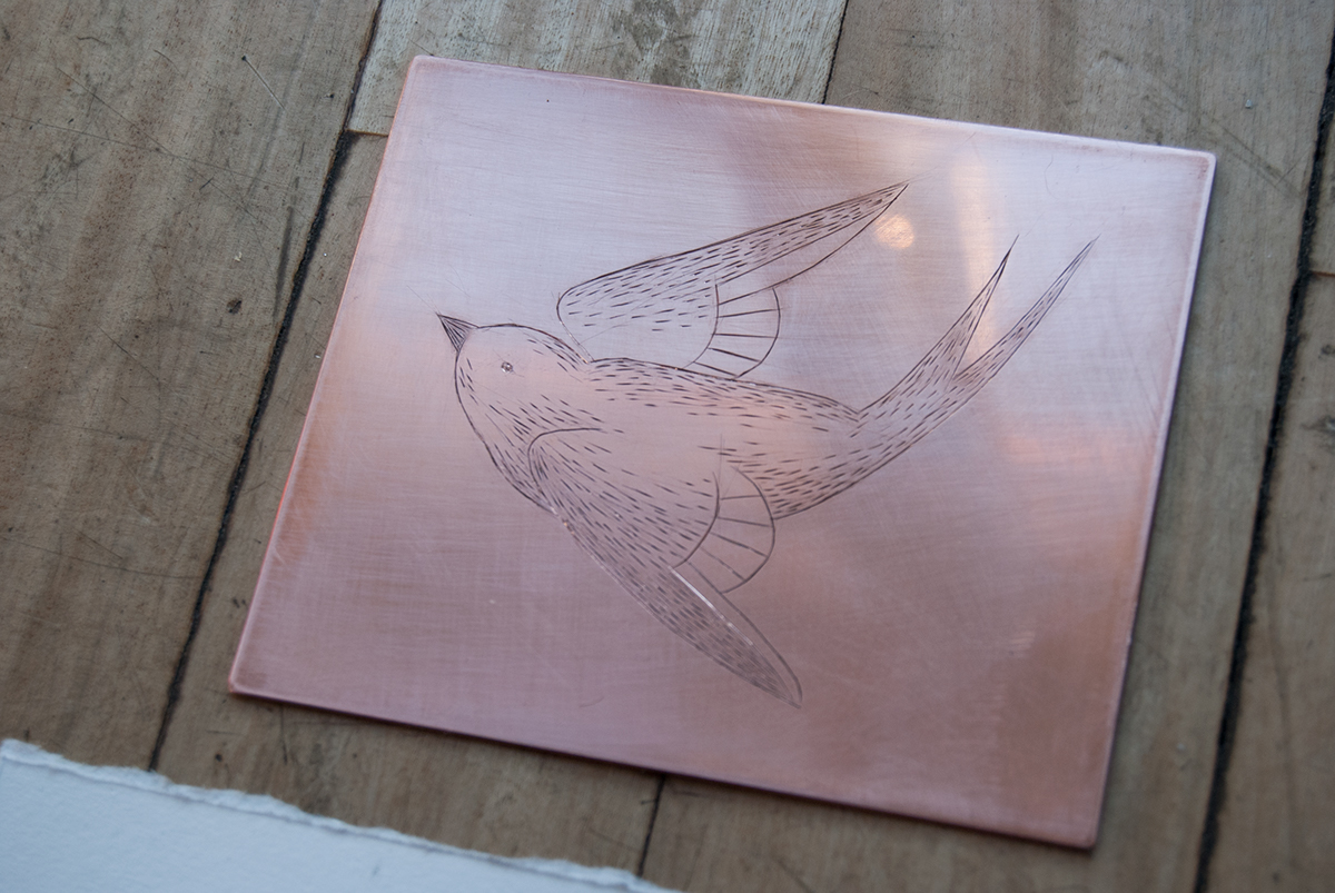 swallow bird burin engraving Printing FINEART bulino chalcography calcografia