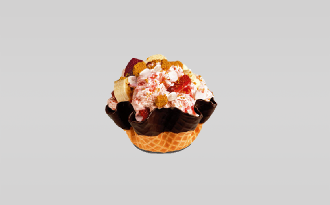 Food  icecream rebranding Illustrator logo brochure design