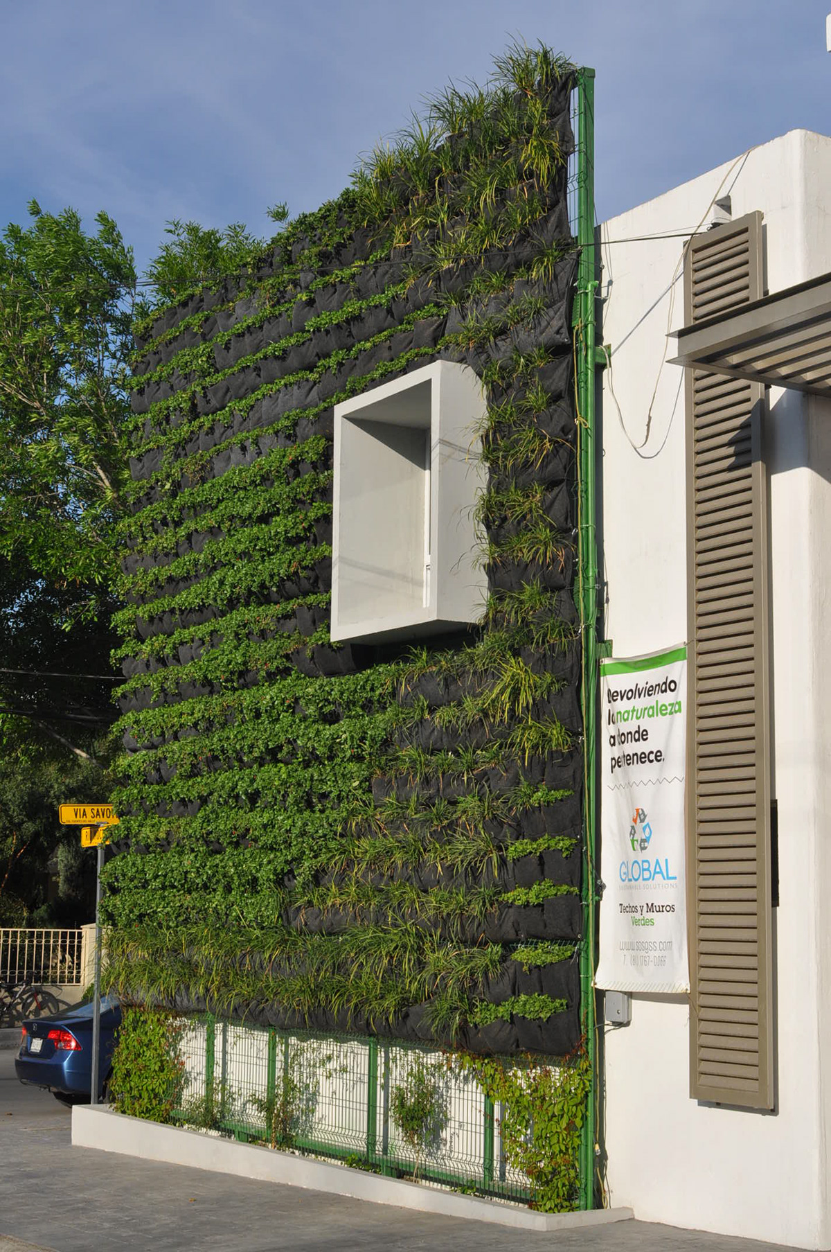 greenwall muroverde verticalgarden module modular jardinvertical vegetated greenhouse
