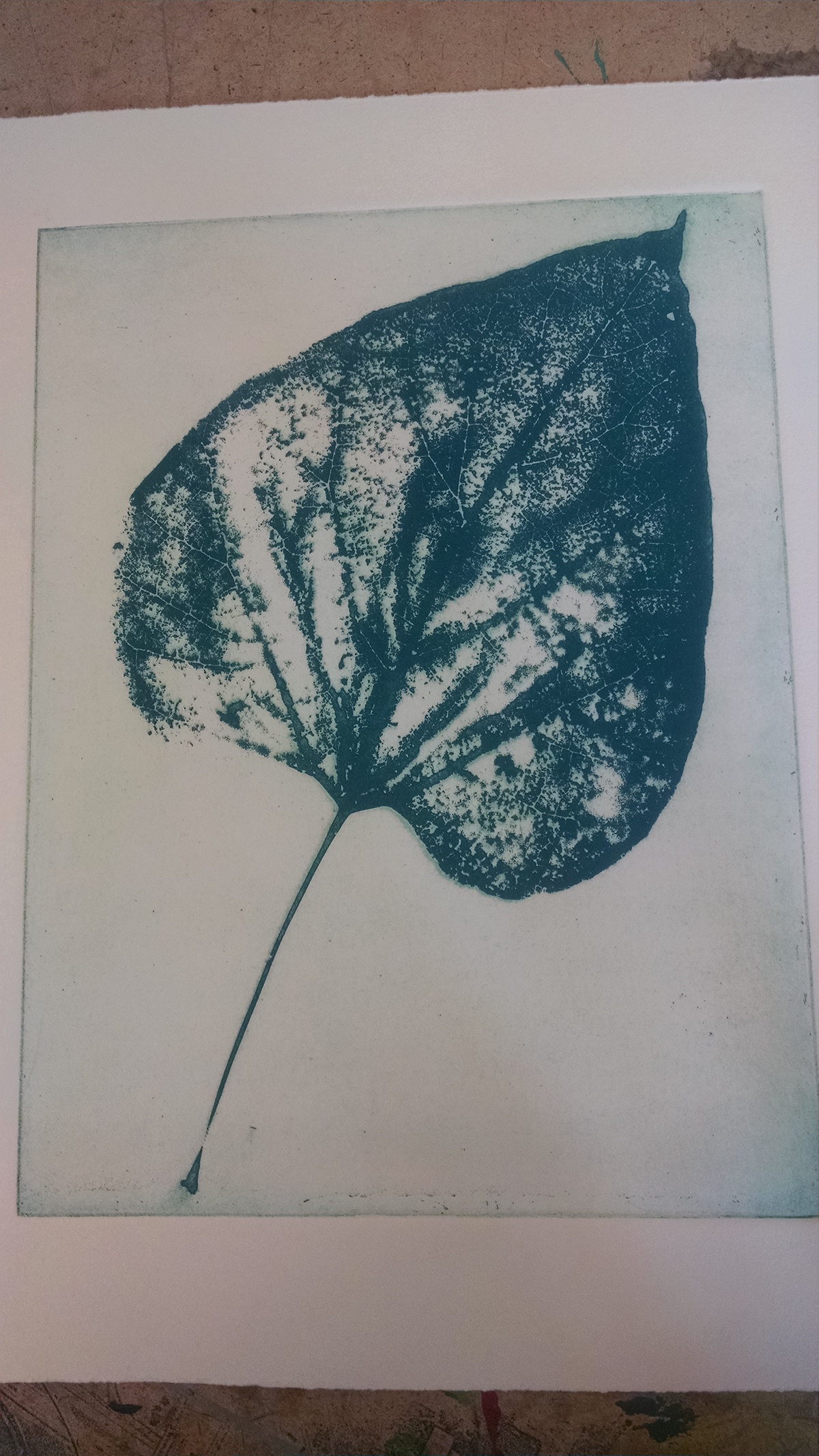lithography nude cuddle leaf printmaking copper zinc etching